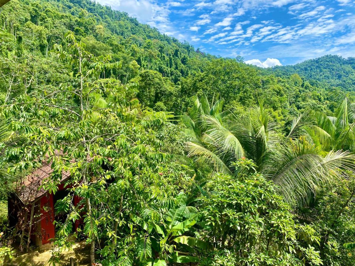 Casa Tambor *